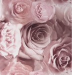 Tkanina Materiał na zasłony obrusy Róże Pudrowy róż